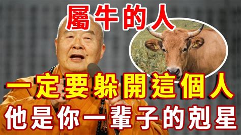 屬牛的貴人|屬牛的貴人是屬什麼？探討牛年出生者的最佳貴人生肖